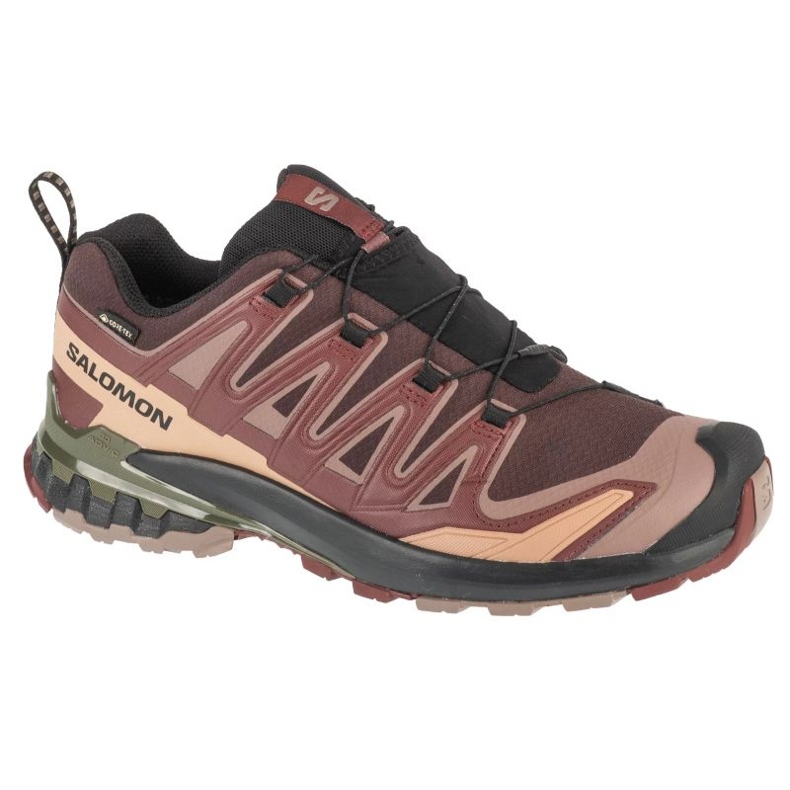 Salomon XA Pro 3D V9 GTX L47583500 Scarpe da corsa marrone