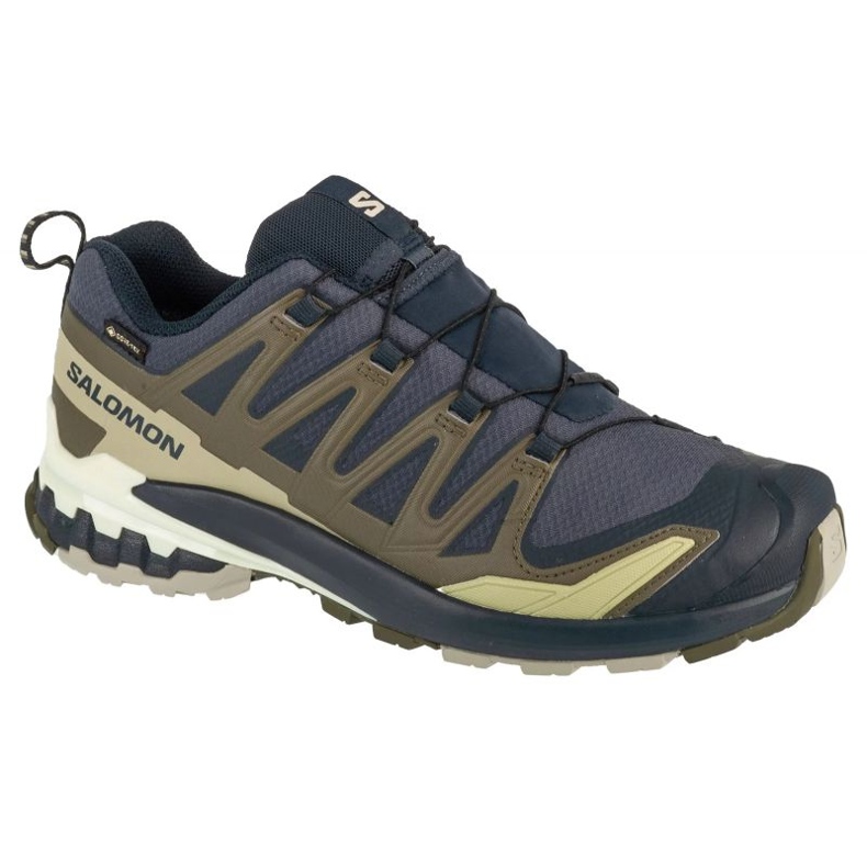 Salomon XA Pro 3D V9 GTX L47823000 scarpe da corsa grigio