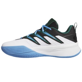 ADIDAS DAME certificato 3 scarpe da basket JI1541 bianco