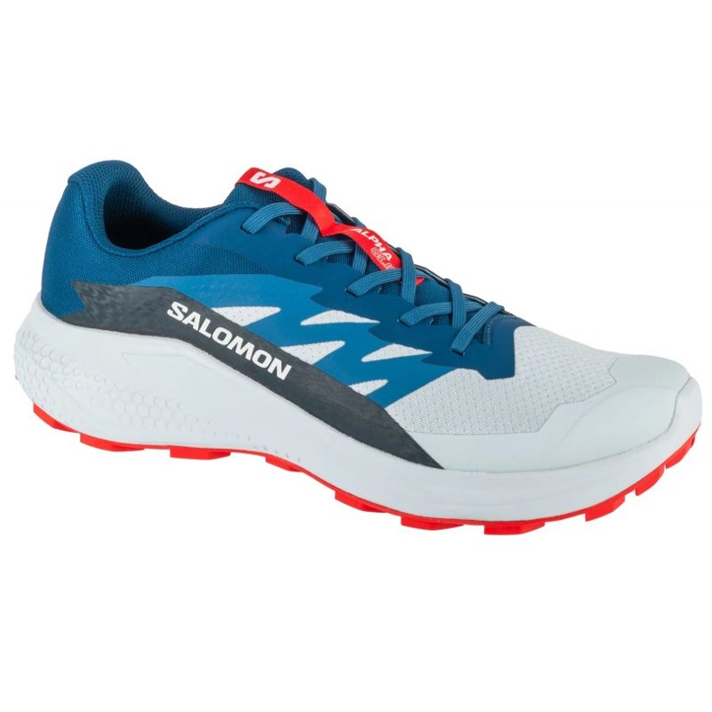 Salomon Alphaglide Ballad L47724300 Scarpe da corsa grigio