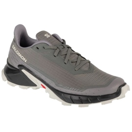 Salomon Alpharacross 5 473133 Scarpe da corsa grigio