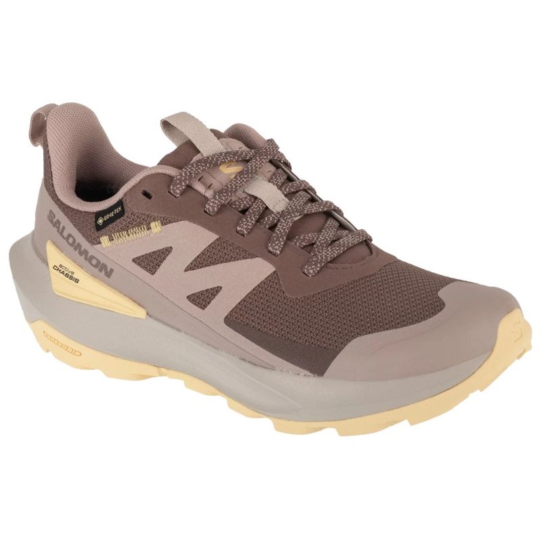 Salomon Elisir Active GTX L47760100 Scarpe da corsa marrone