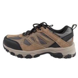 Scarpe Skechers Enago 66275/TAN beige