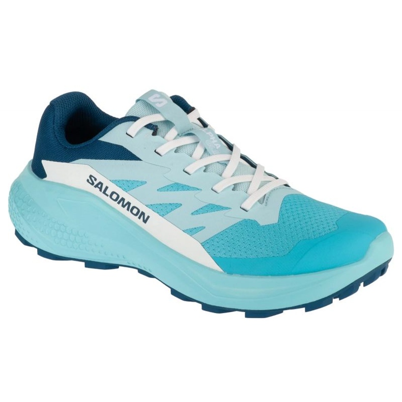 Salomon Alphaglide L47801600 scarpe da corsa blu