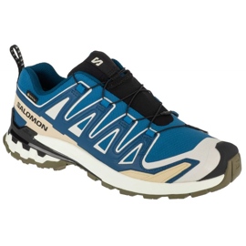 Salomon XA Pro 3D V9 GTX L47817400 Scarpe da corsa blu