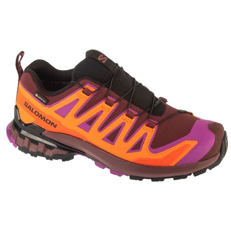 Salomon XA Pro 3D V9 GTX Running Scarpe in L47961900 multicolore