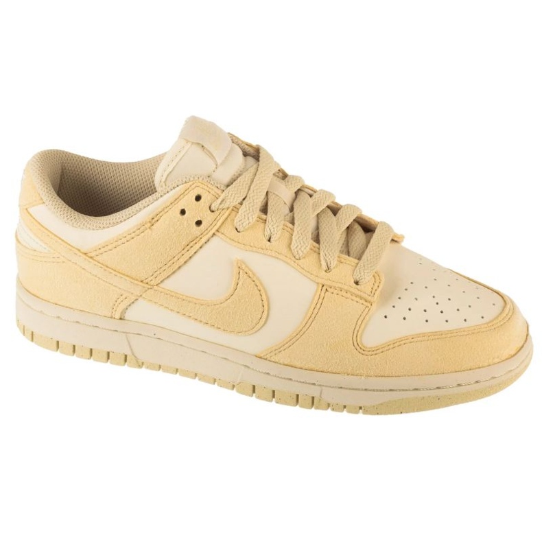 Nike Dunk Low Shoes in HJ7673-004