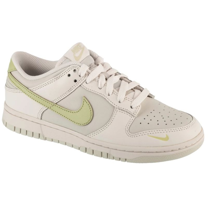 Nike Dunk Low Shoes in IB3484-001
