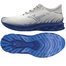 Mizuno Wave Skyrise 6 M J1GC250954 Scarpe
