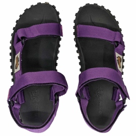 Sandali di scrambler Gumbies in Gu-Sascr031 viola