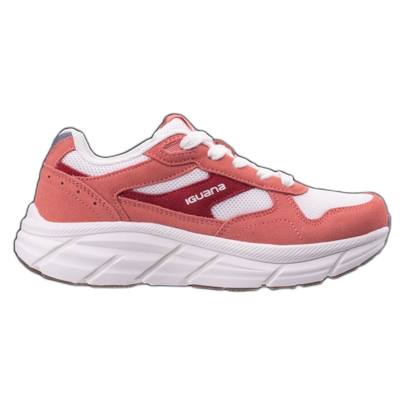Scarpe da ginnastica per iguana cumulus in 92800658183