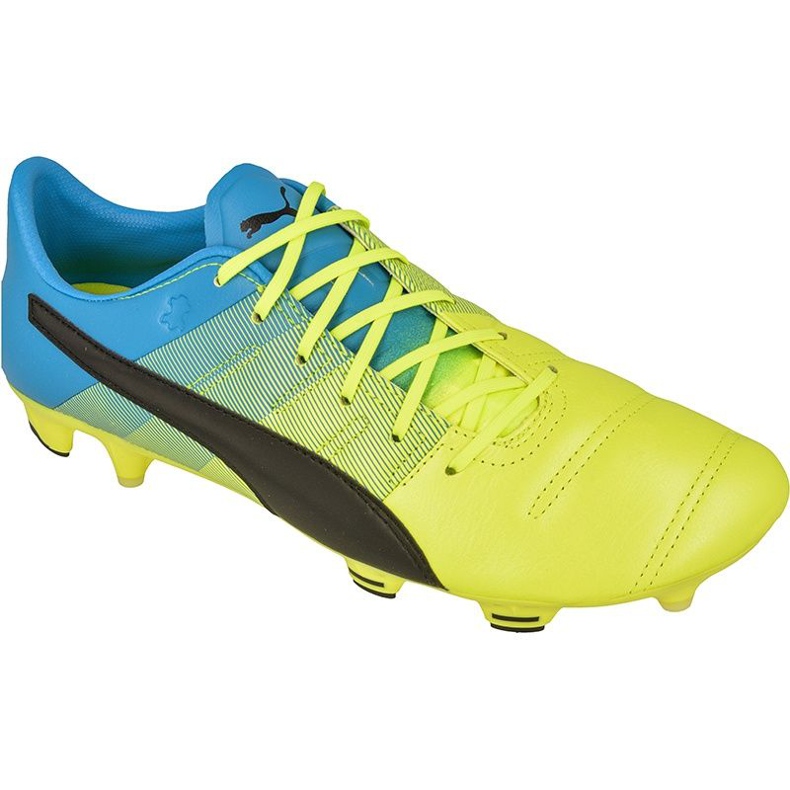 Scarpe da calcio Puma evoPOWER 1.3 FG M Pelle 10352701