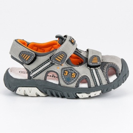 American Club Sandali da ragazzo americano grigio