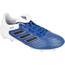 Scarpe da calcio Adidas Copa 17.3 Fg M BA9717 blu blu