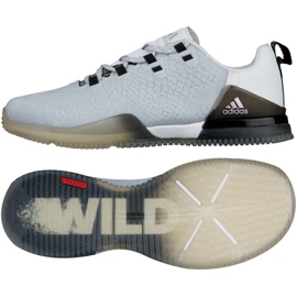 Scarpe da allenamento Adidas Crazy Power Tr grigio