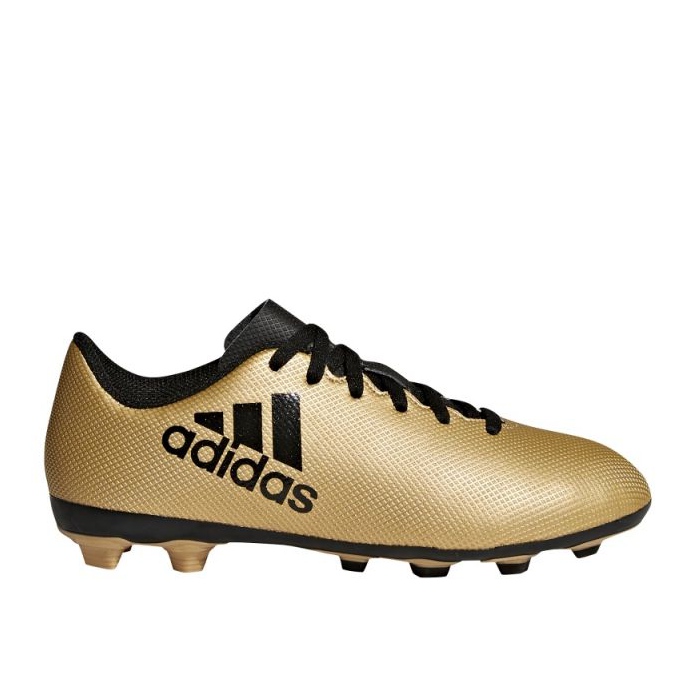 Scarpe da calcio Adidas X 17.4 FxG Jr CP9013 d'oro