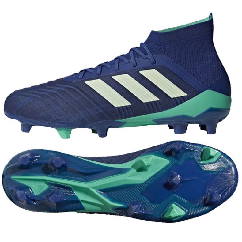 Scarpe da calcio Adidas Predator 18.1 Fg M CM7411 blu blu