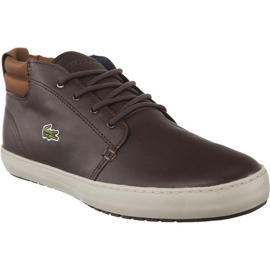 Lacoste Ampthill Terra 317 1 176 marrone