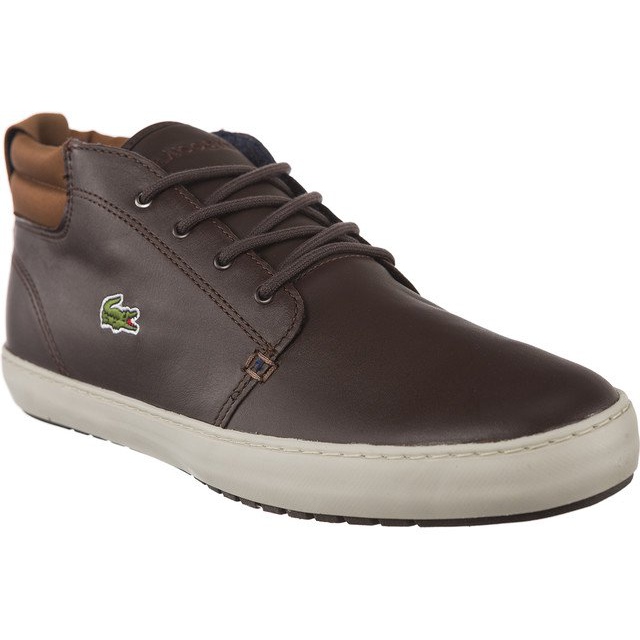 Lacoste Ampthill Terra 317 1 176 marrone