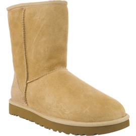 Ugg Classic Short Ii Sand giallo
