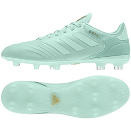 Le scarpe da calcio adidas Copa 18.2 Fg M. blu