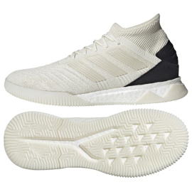 Scarpe indoor adidas Predator 19.1 Tr M D98056 multicolore bianca