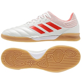 Scarpe indoor adidas Copa 19.3 IN Sala M D98065 bianca