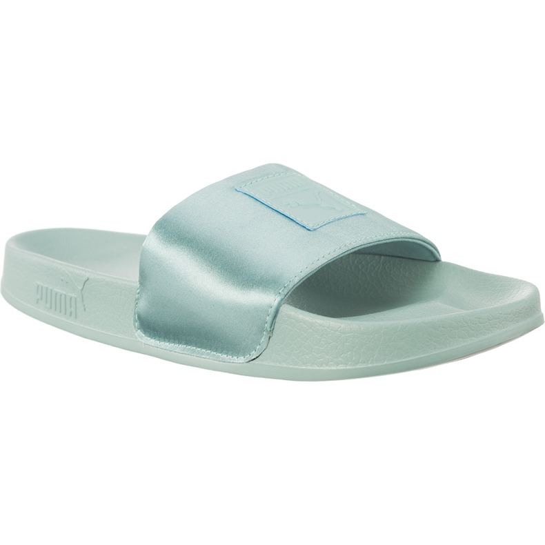 Puma Blu satinato di piombo