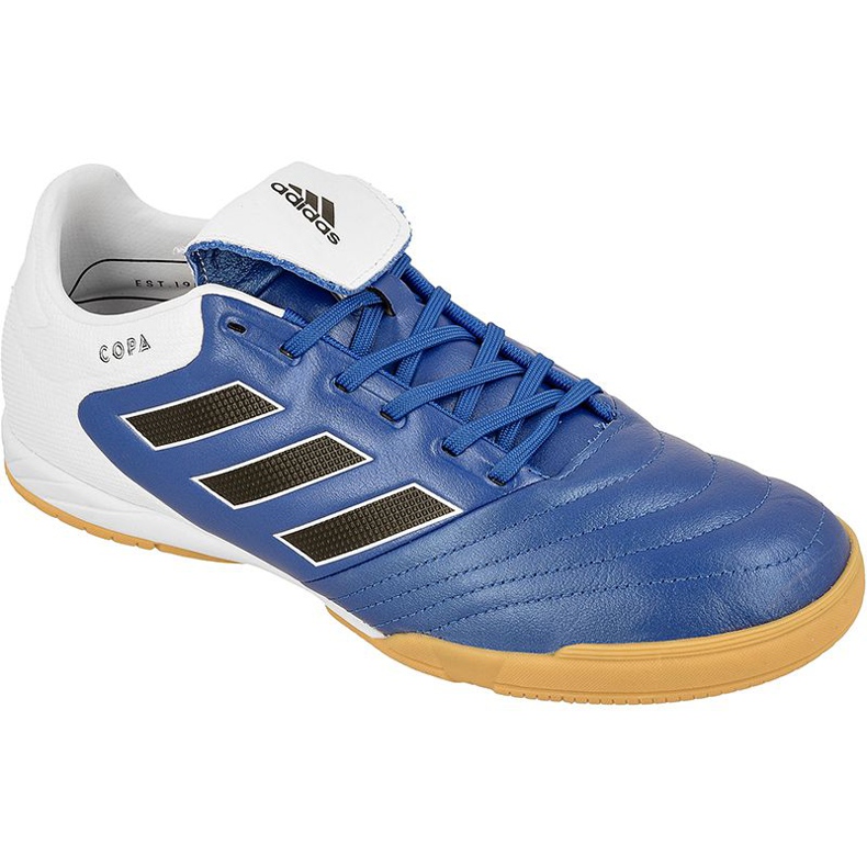 Scarpe indoor adidas Copa 17.3 In M BB0853