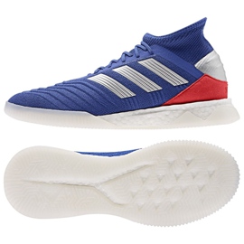 Scarpe indoor adidas Predator 19.1 Tr M BB9081 blu blu