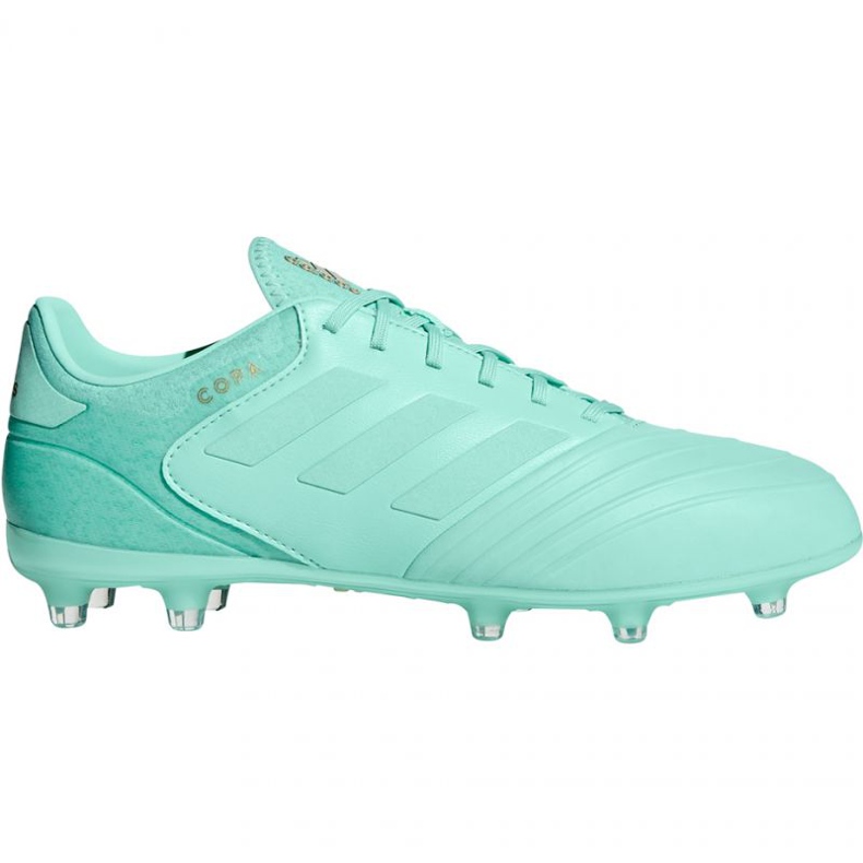 Scarpe da calcio Adidas Copa 18.2 FG M DB2446 blu