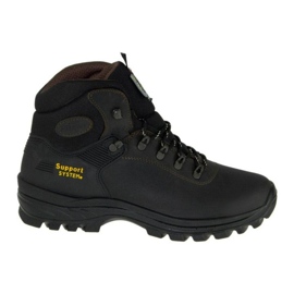 Scarpe Grisport M 10242D26G marrone