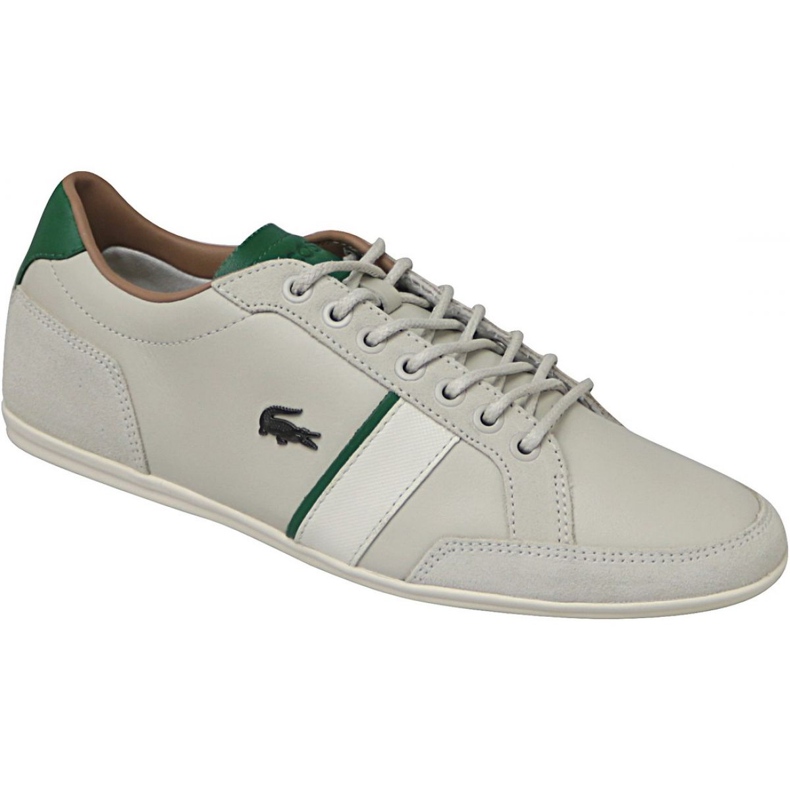 Lacoste Alisos 117 1 M CAM1018098 multicolore