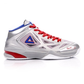 Scarpa da basket Peak TP9 Quickness 2 E33323A M 62266-62270 grigio d'argento