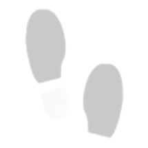 Scarpe da boxe adidas Box Hog Plus blu-rosso