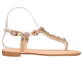 Small Swan Sandali Infradito Con Cubic Zirconia d'oro