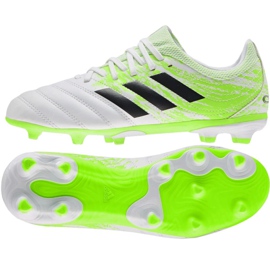 Scarpe da calcio Adidas Copa 20.3 Fg Jr EF1913 multicolore verde