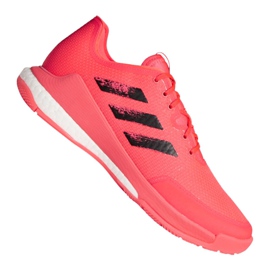Scarpe da pallavolo Adidas Crazyflight Tokyo M FX1764 multicolore rosa