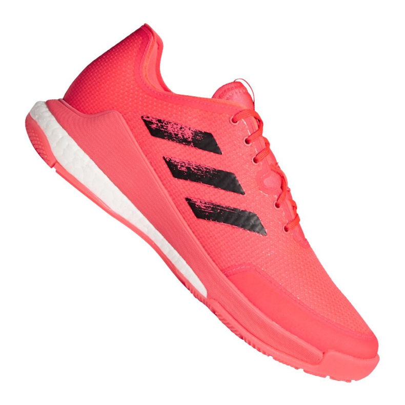 Scarpe da pallavolo Adidas Crazyflight Tokyo M FX1764 multicolore rosa