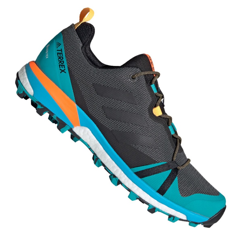 Scarpe Adidas Terrex Skychaser Lt Gtx M FX0148 multicolore blu