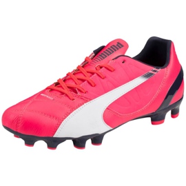 Scarpe da calcio Puma Evo Speed ​​3.3 Fg 103014 03 rosa rosa