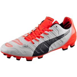 Scarpe da calcio Puma Evo Power 1.2 Ag 103213 05 grigio