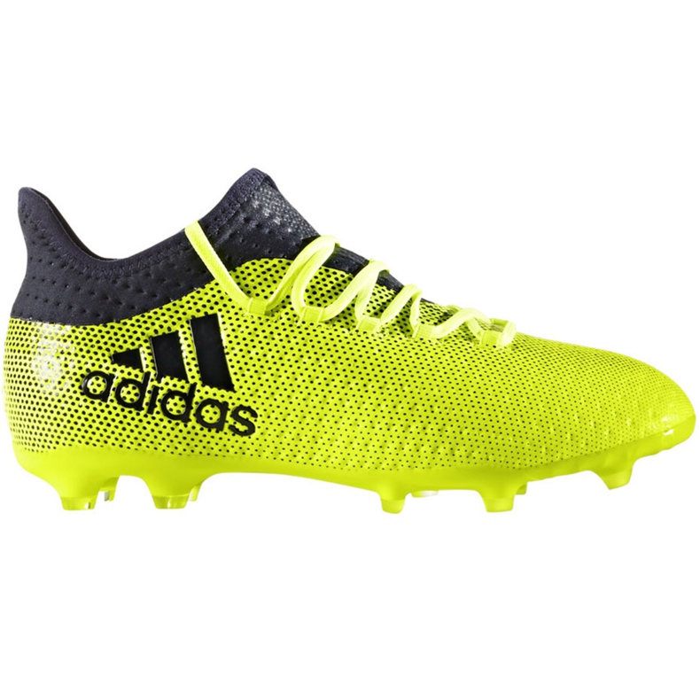 Scarpe da calcio Adidas X 17.1 Fg Jr S82297 multicolore verde