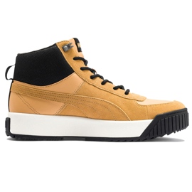 Scarpe da uomo Puma Tarrenz Sb marrone chiaro 370551 02