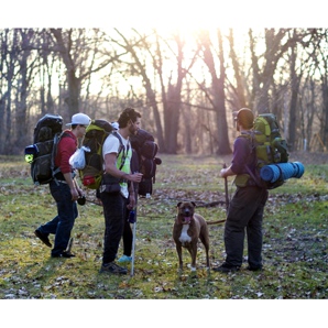 Trekking: quali scarpe scegliere?