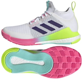 Scarpe da pallavolo adidas CrazyFlight Mid W HP3337 bianco bianco 1