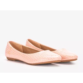 PA1 Ballerine rosa acquari 1