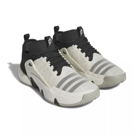 Scarpe Adidas Trae Unlimited M IF5609 bianca bianca 1