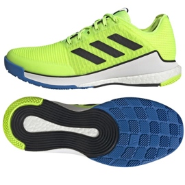 Scarpe da pallavolo Adidas CrazyFlight M HP3356 verde 1
