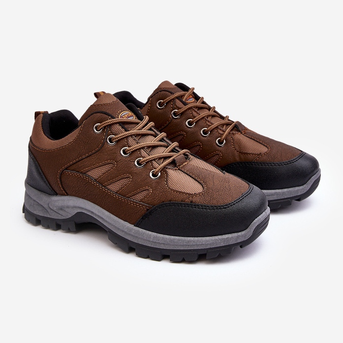 WR1 Scarpe Trekking Sportive Da Uomo Marrone Alveze 1